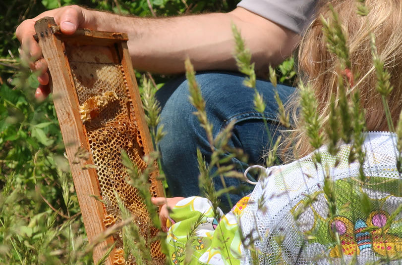 PepsiCo Recycling guru Tom Mooradian and daughter looking at bee hive