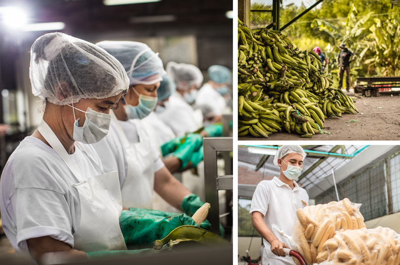 Collage of workers in a manufacturing facility making NatuChips