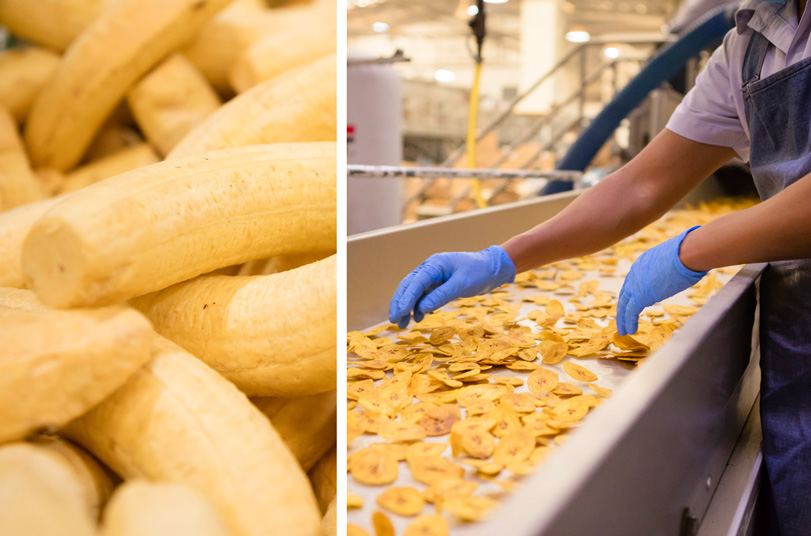 Peeled plantains being turned into NatuChips