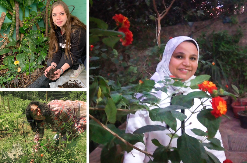 Triptych showing Gabriela, Zeinab and Felicia working in their gardens at home.